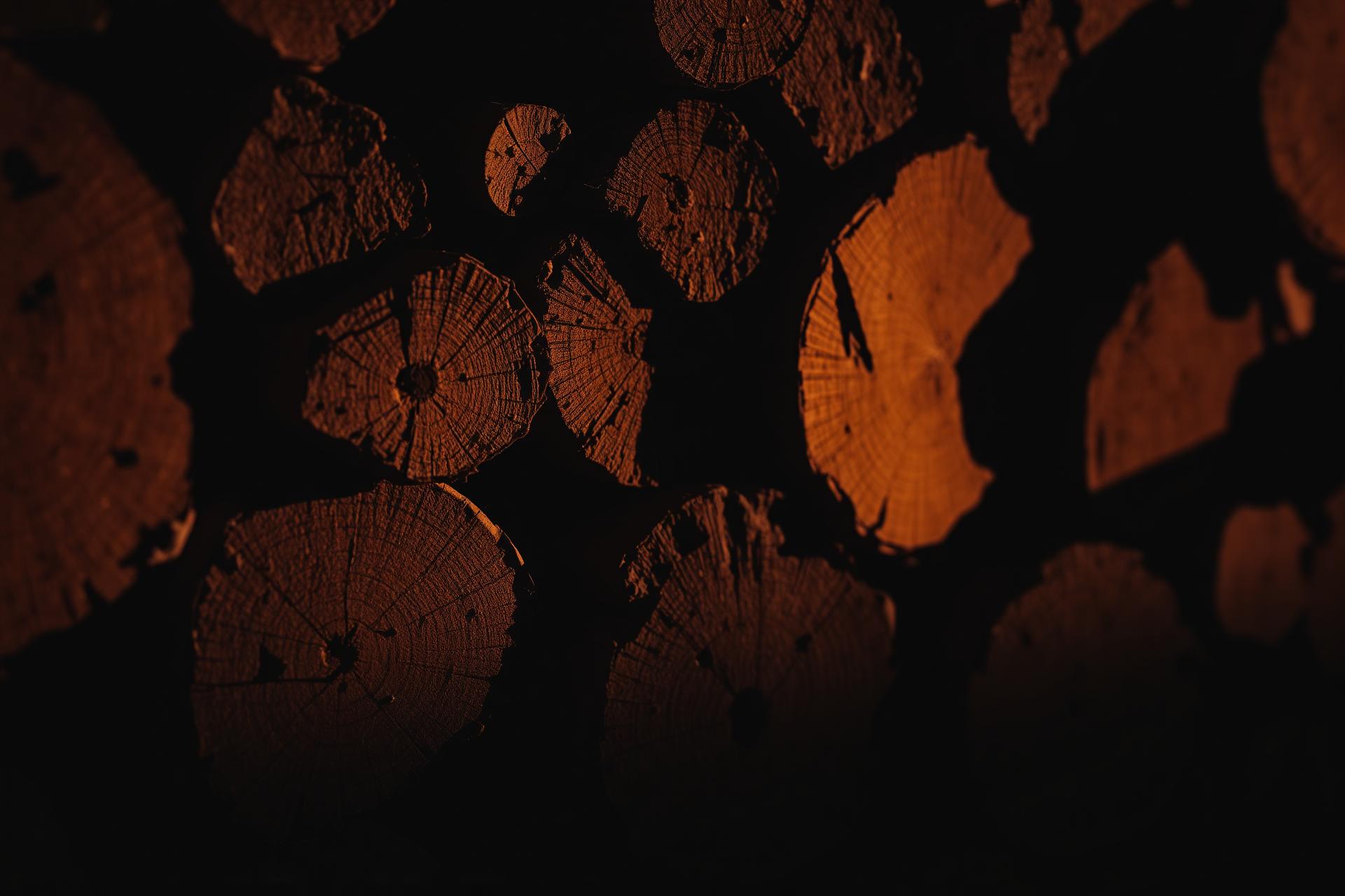Bûches de bois empilées